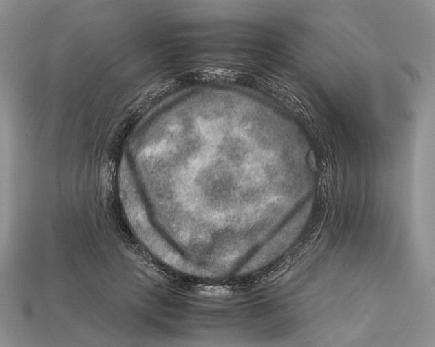 X0000112950649200909211155