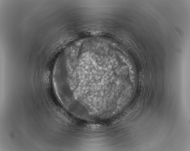 X0000112950650200909211155