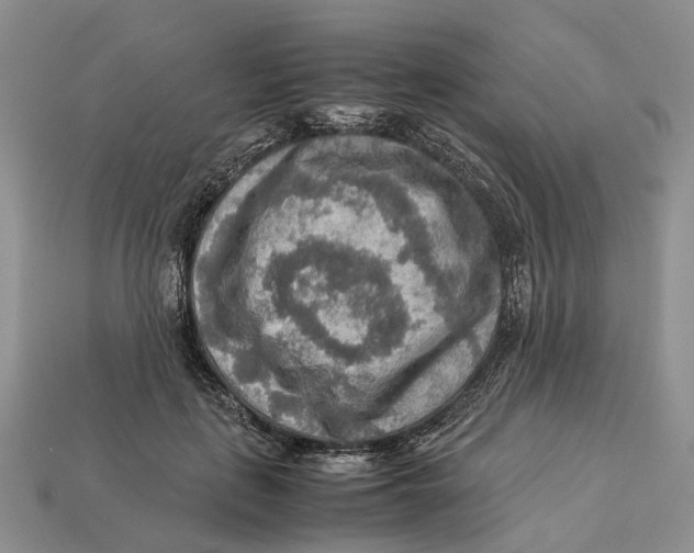 X0000112950651200909211155