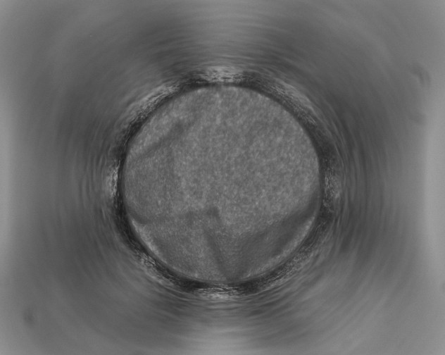 X0000112950652200909211155