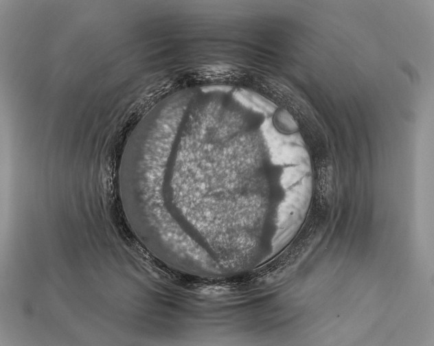 X0000112950653200909211155