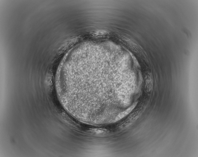 X0000112950654200909211155