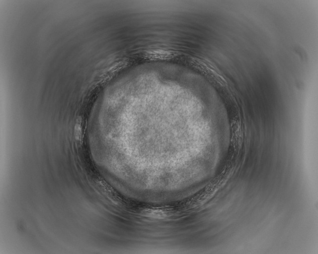 X0000112950655200909211155