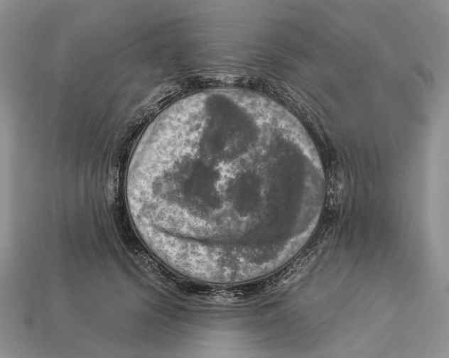 X0000112950656200909211155