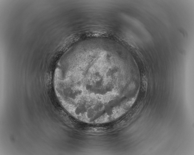 X0000112950657200909211155