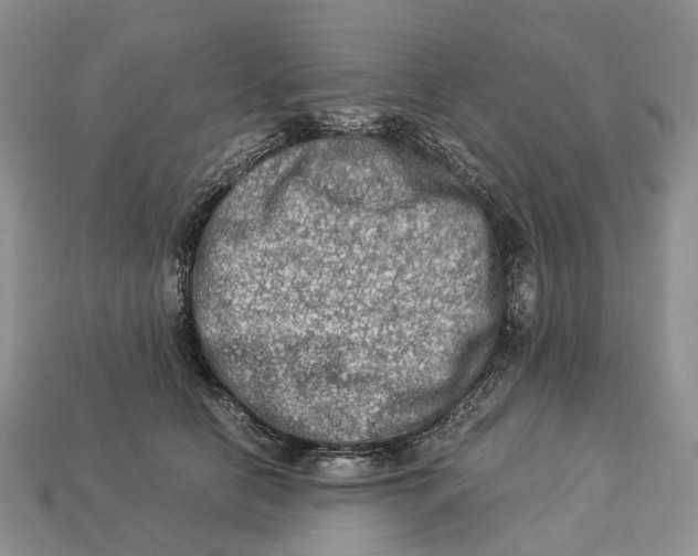 X0000112950658200909211155