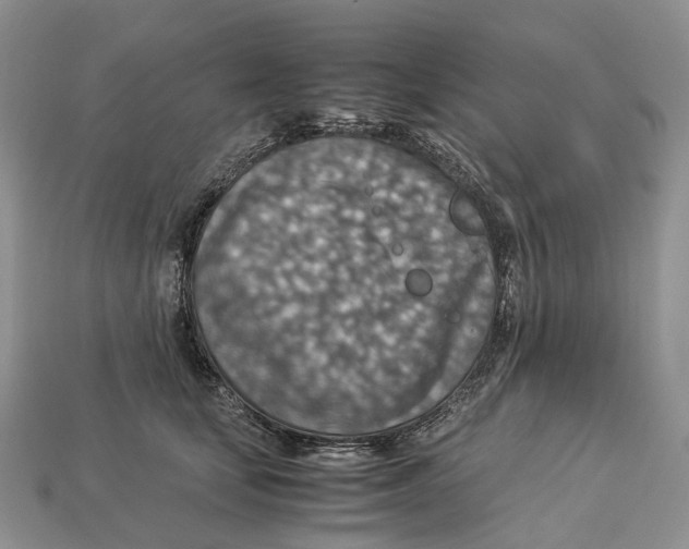 X0000112950659200909211155