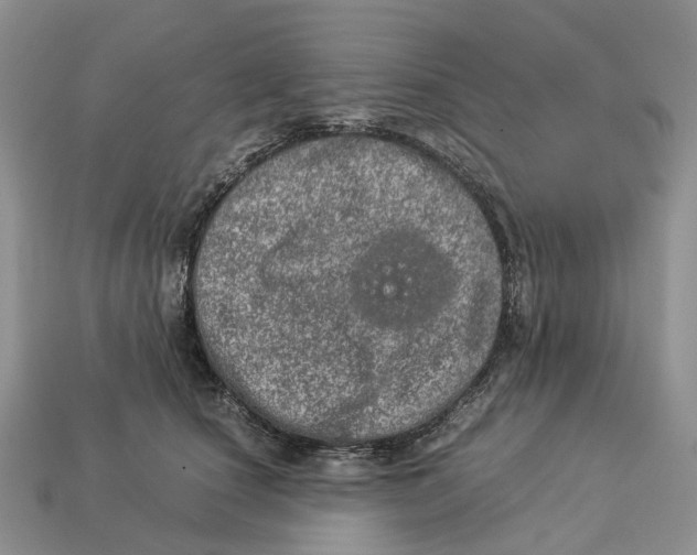 X0000112950660200909211155