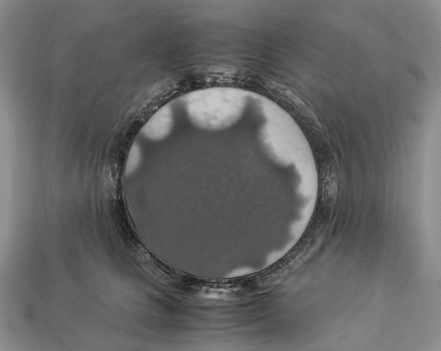 X0000112950661200909211155