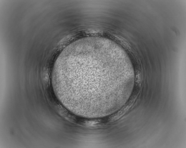 X0000112950662200909211155