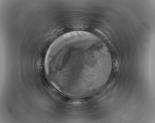 X0000112950663200909211155