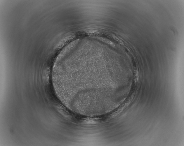 X0000112950664200909211155