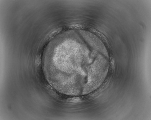 X0000112950665200909211155