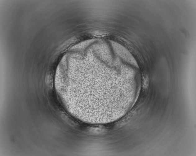 X0000112950666200909211155