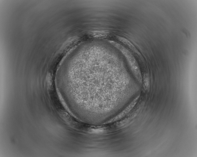 X0000112950667200909211155