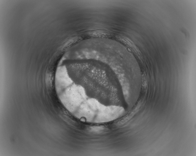 X0000112950669200909211155