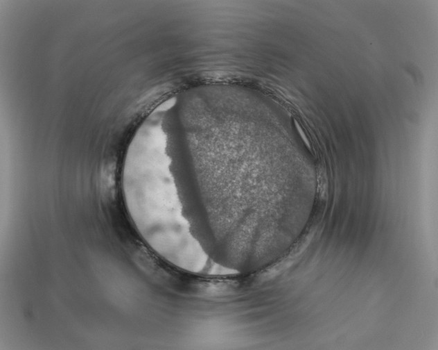 X0000112950670200909211155