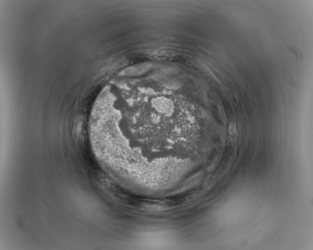 X0000112950671200909211155