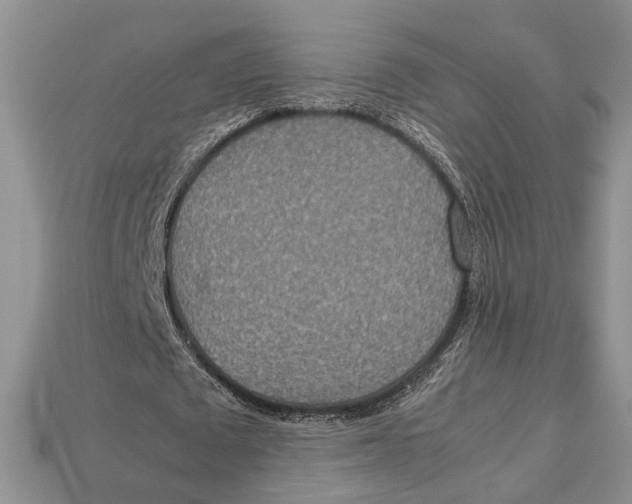 X0000112950673200909211155