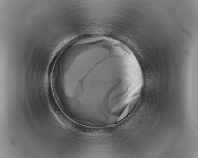 X0000112950674200909211155