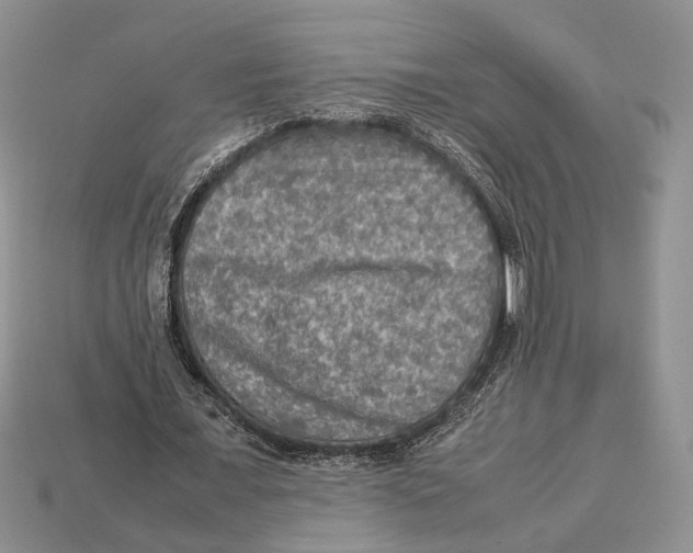 X0000112950675200909211155