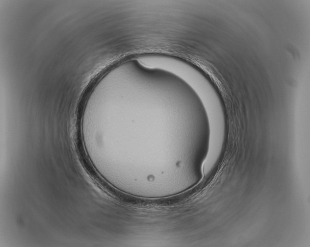 X0000112950677200909211155