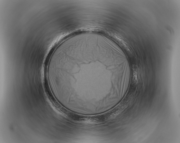 X0000112950678200909211155