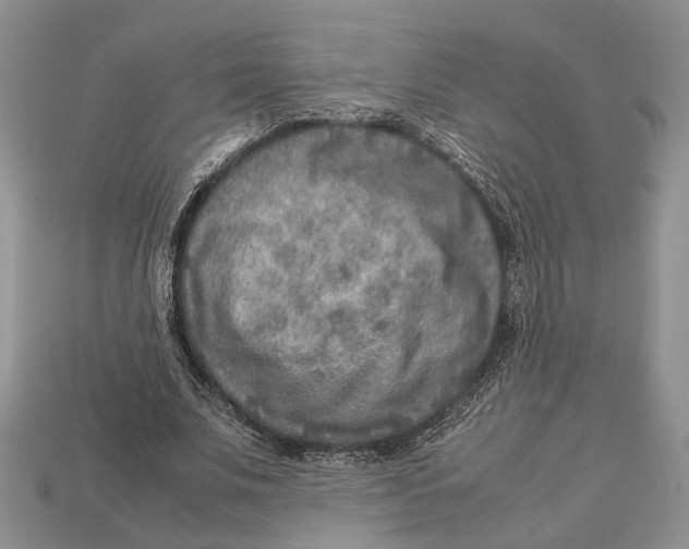 X0000112950679200909211155