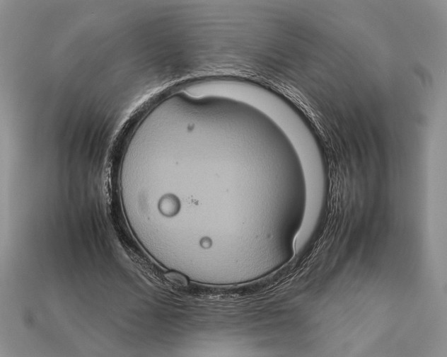 X0000112950680200909211155