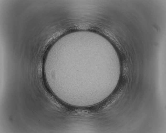 X0000112950681200909211155