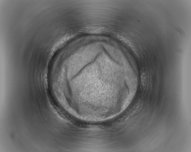 X0000112950682200909211155