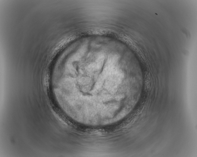 X0000112950683200909211155