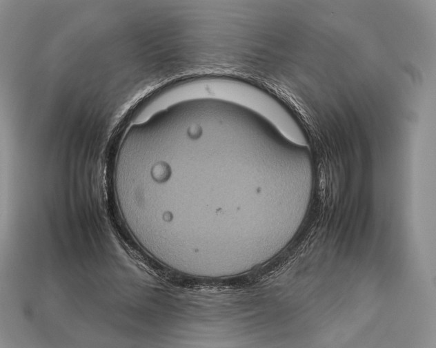 X0000112950684200909211155