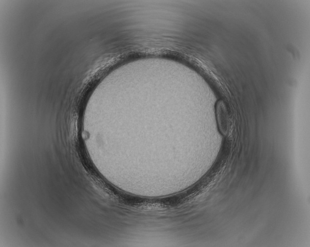 X0000112950685200909211155