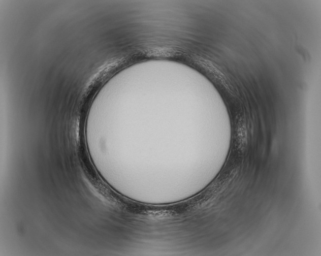 X0000112950686200909211155