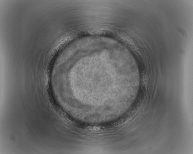 X0000112950687200909211155