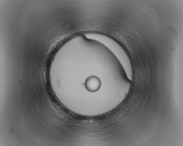 X0000112950688200909211155