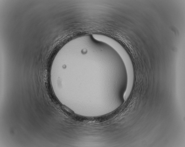 X0000112950689200909211155