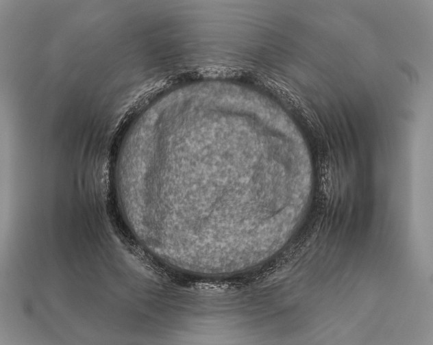 X0000112950690200909211155