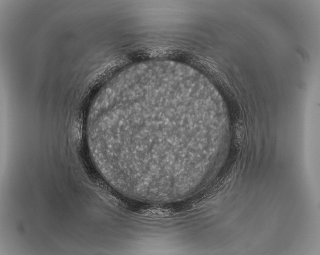 X0000112950691200909211155