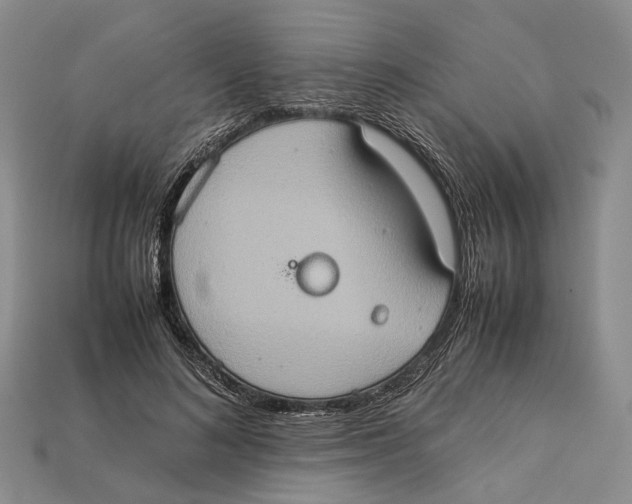 X0000112950692200909211155