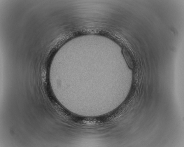 X0000112950693200909211155