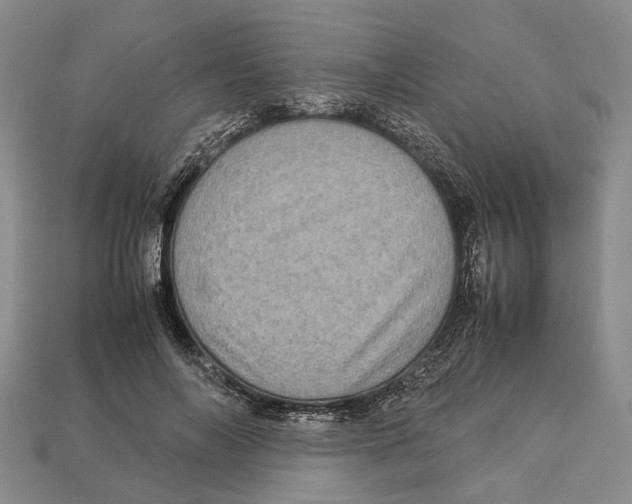 X0000112950694200909211155