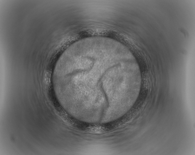 X0000112950695200909211155