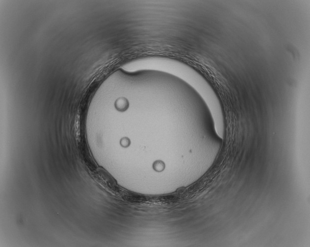 X0000112950696200909211155