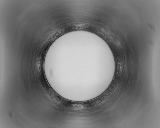 X0000112950698200909211154