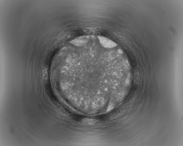 X0000112950699200909211154