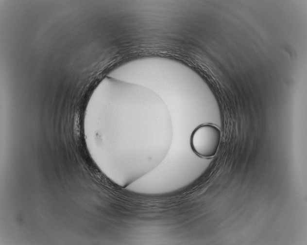 X0000112950700200909211154