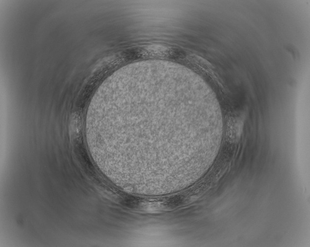 X0000112950701200909211154