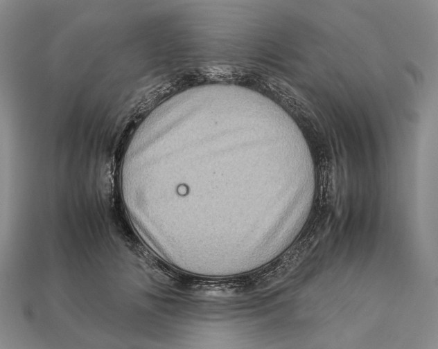 X0000112950702200909211154